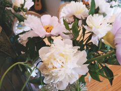 -Jo's Garden