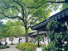-上海醉白池公园