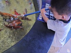 -烟台海昌鲸鲨海洋公园