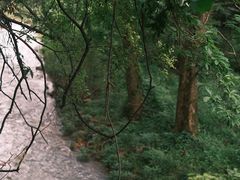 -仙华山景区