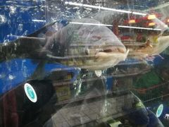 -大润发(花雨店)