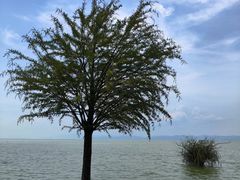 -捞渔河湿地公园