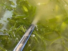 -水上人家民俗餐厅(洱海公园店)