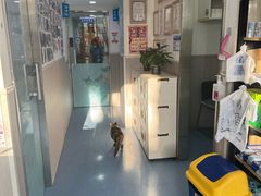 -佑安动物医院·全科·内窥镜中心(幸福巷店)