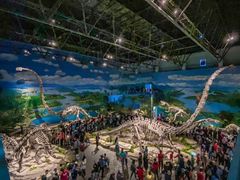 -自贡恐龙博物馆