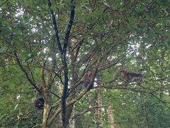 -西岭雪山大飞水景区