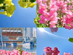 -海心沙亚运公园