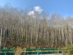 -金达莱冷面百年石锅饭(宾馆胡同店)