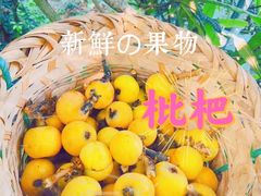 -东山风景区(洞庭东山)