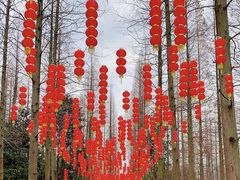 -东平国家森林公园