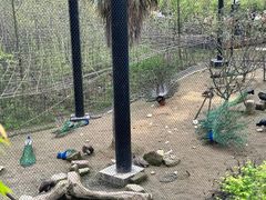 -武汉动物园