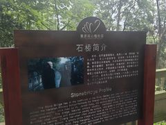 -南山植物园