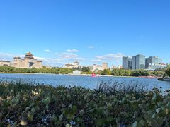 -莲花池公园