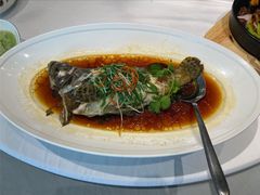 清蒸老虎斑-南景饭店(万家丽路店)