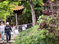 -嘉定紫藤园