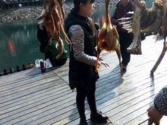 -祁门牯牛降观音堂风景区