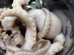 -铭聚章鱼土笋冻(松柏店)