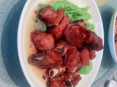 -大队长大灶鹅