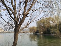 -济南国际园博园