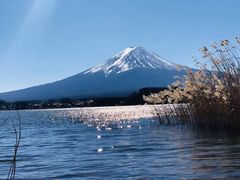 -富士山吉田線五合目