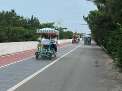 -日照海滨国家森林公园