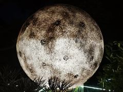 -恬阿姨庭院餐厅·生日宴