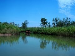 -泗洪洪泽湖湿地景区