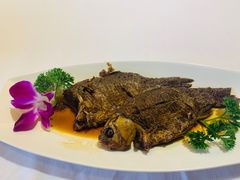 -冶春茶社(官园桥店)
