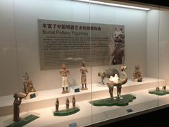 -宁夏博物馆
