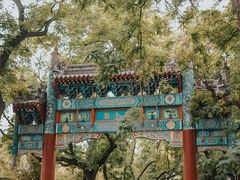 -北京国子监胡同