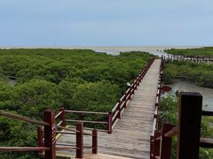 -北海金海湾红树林生态旅游区