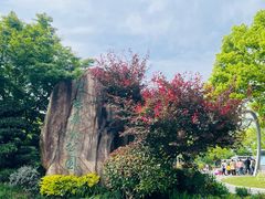 -昆山城市生态森林公园