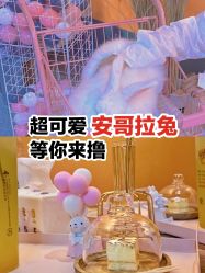 -萌兔星空蹦床撸兔馆