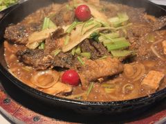 -老板恋上鱼(高新万达店)