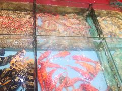 -天天海鲜城·海鲜大排档(新溪店)