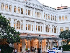 -Long Bar(莱佛士酒店)