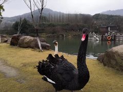 -白马涧龙池景区
