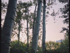 -仁和公园(顺义区)