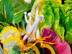 -大龙燚·旷野鲜火锅(广州首店)