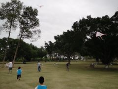 -东莞植物园