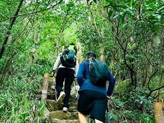 -午潮山国家森林公园