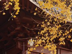 -钱王祠