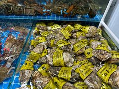 -京深海鲜市场(光彩路店)