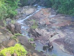 -广州白江湖森林公园