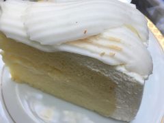 -Fern Forest Cafe