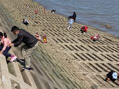 -天津妈祖文化园