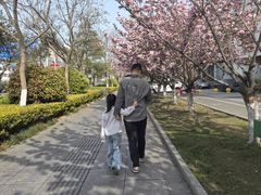-江苏三台山国家森林公园