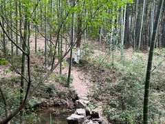 -天目湖山水园