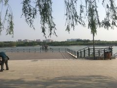 -大兴滨河森林公园