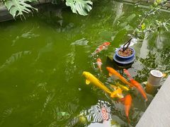 -漫笙舍Manse·咖啡·民宿